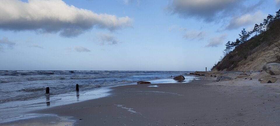 IMG_20240201_145048.jpg - torii99