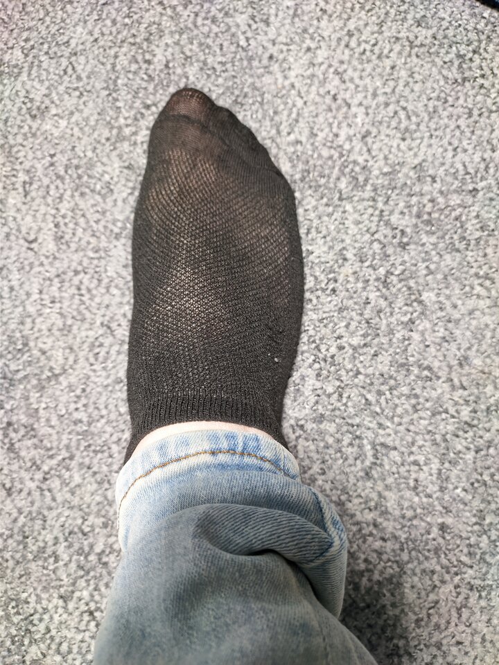 SGCAM_20240430_082650620.jpg - Piespaniszuka