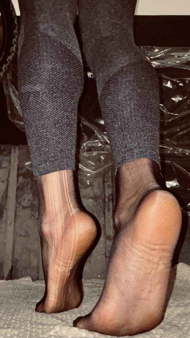 ProjectSissy