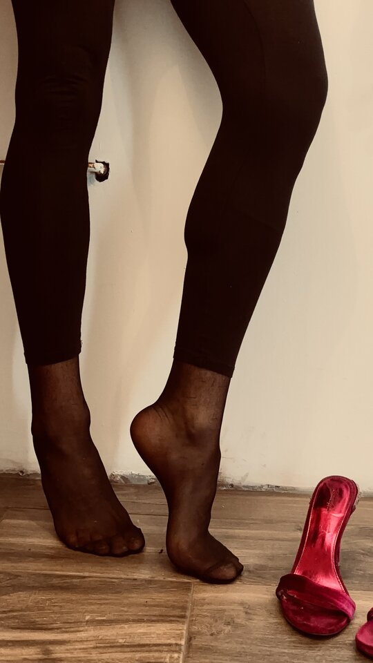 IMG_0540.jpeg - ProjectSissy