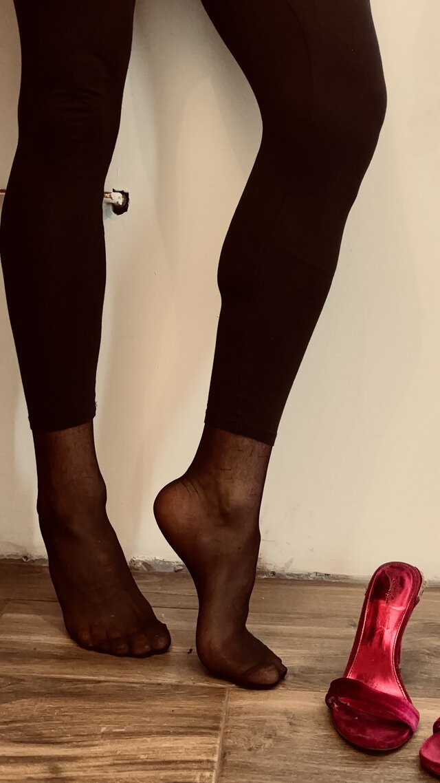 ProjectSissy