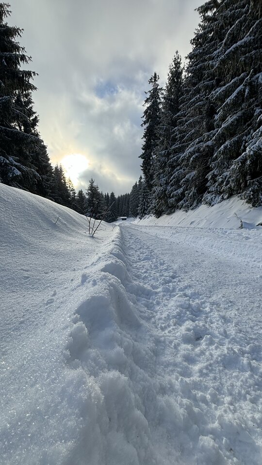 IMG_1230.jpeg - Piotrhapo83