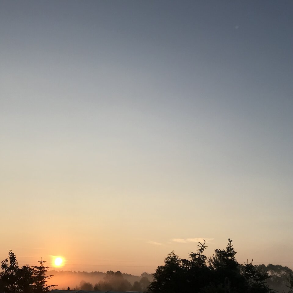 C6F5D263-3E98-440C-9E6C-0F303D699ED0.jpeg - MenEnjoyer