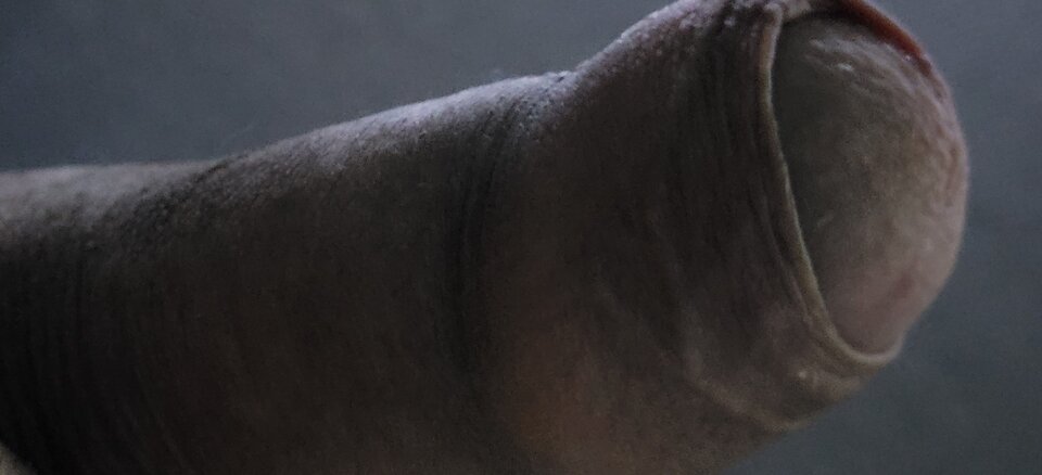 20221217_170656_resized.jpg - krit_01