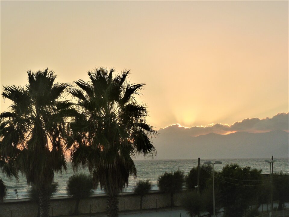 P1020999(1).jpg - Nieznajomy1001