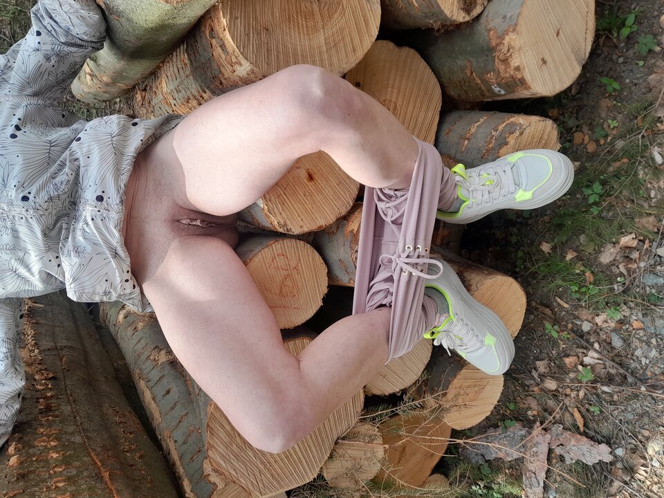 1000017252.jpg - para3741