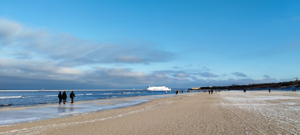 IMG_20240109_132432.jpg - torii99