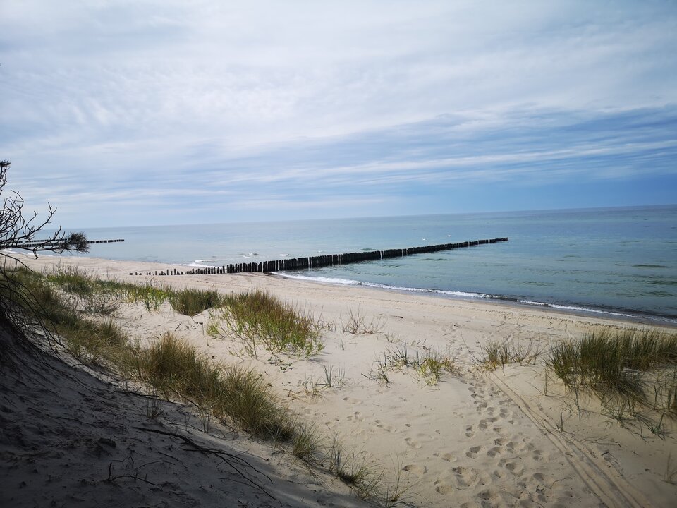 Baltyk pozdrawia - elektroluz