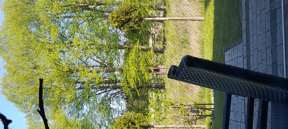 17145491059244818332744665046175.jpg - alias116