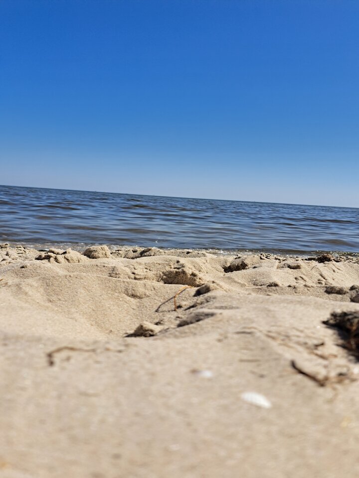 1000002060.jpg - gregor8014