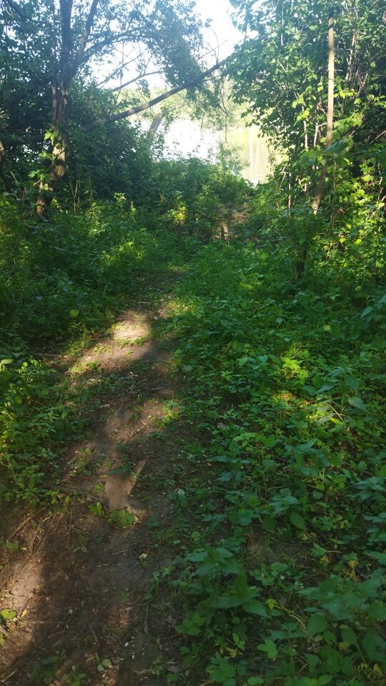 IMG_20240501_162254.jpg - raztak79