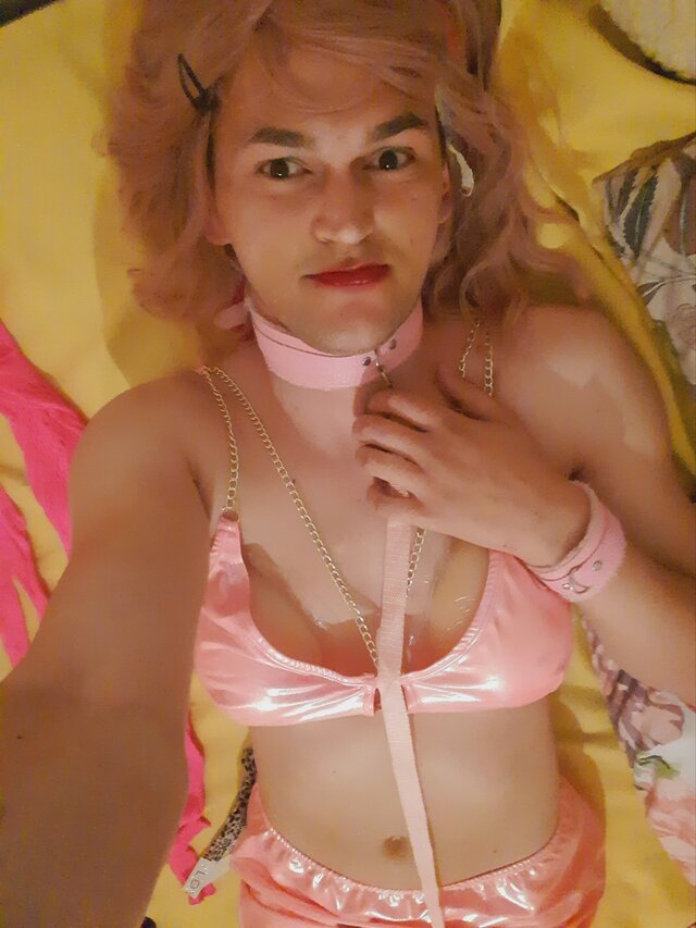 AniaSukaTrans