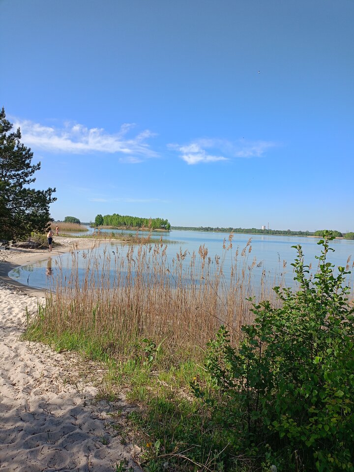 IMG20240501092615.jpg - najsex