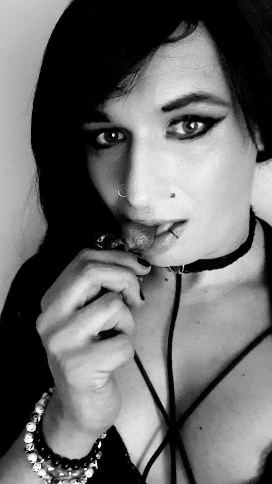 20240501_193226.jpg - TransKitty