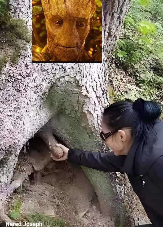 a czy TY... się już dzisiaj przywitałaś :-) hmmm - DarMaj71