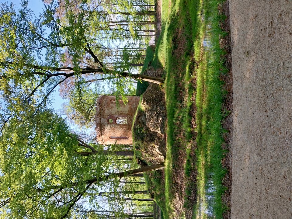 20240501_161826.jpg - ZadawalaczZon