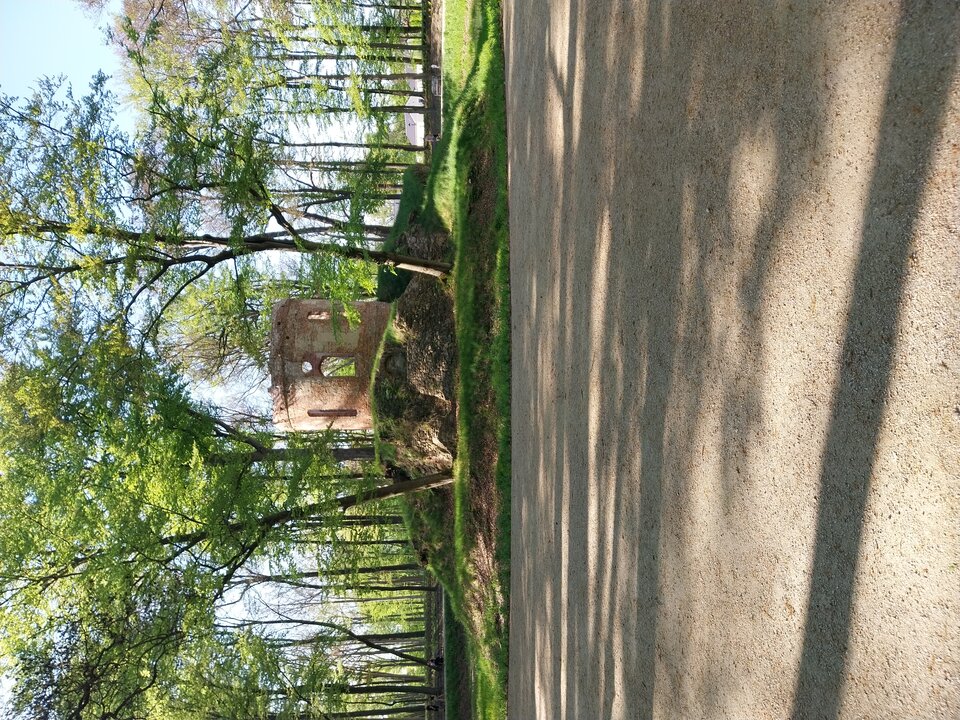 20240501_161808.jpg - ZadawalaczZon