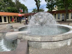 IMG_0039.jpeg