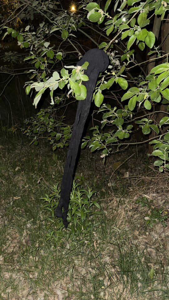 IMG_0355.jpeg - adaponczoszka25