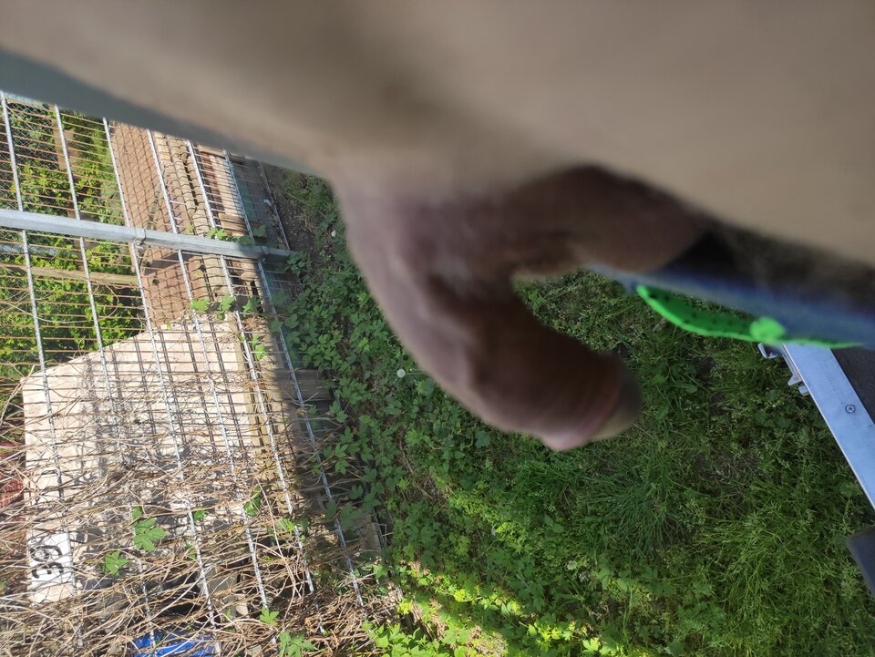 IMG_20240503_105930.jpg - Adamadam1978