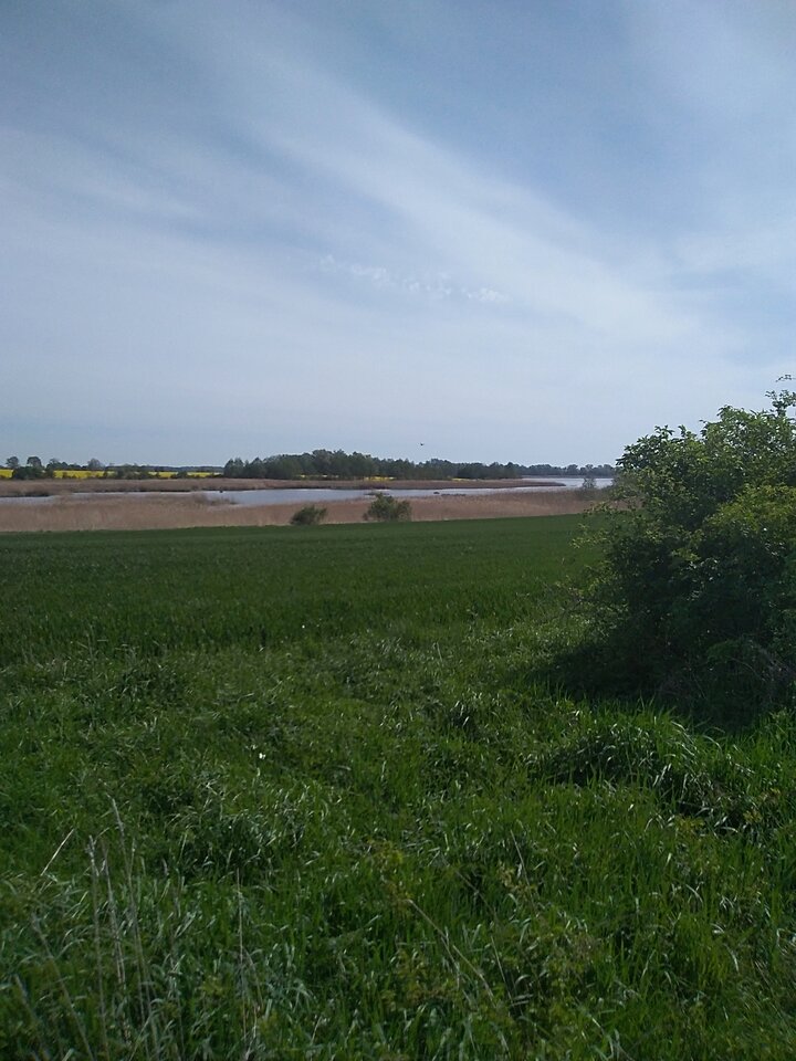 IMG_20240503_104227.jpg - Krzysztof061985