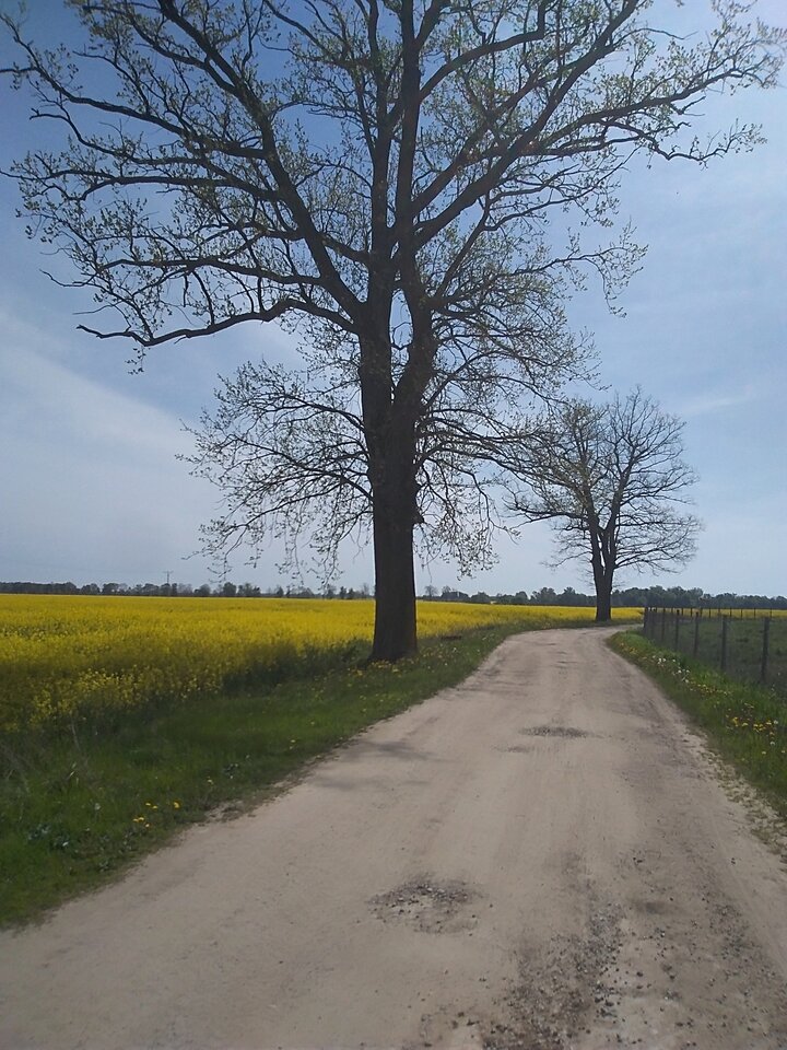 IMG_20240503_110543.jpg - Krzysztof061985