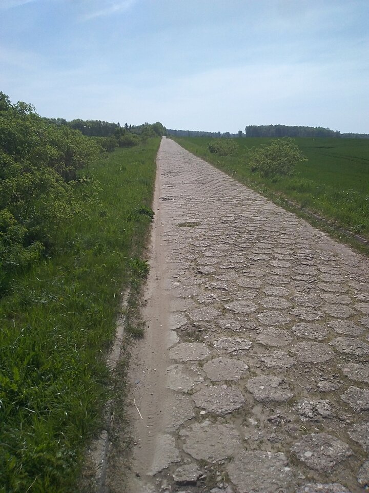 IMG_20240503_104252.jpg - Krzysztof061985