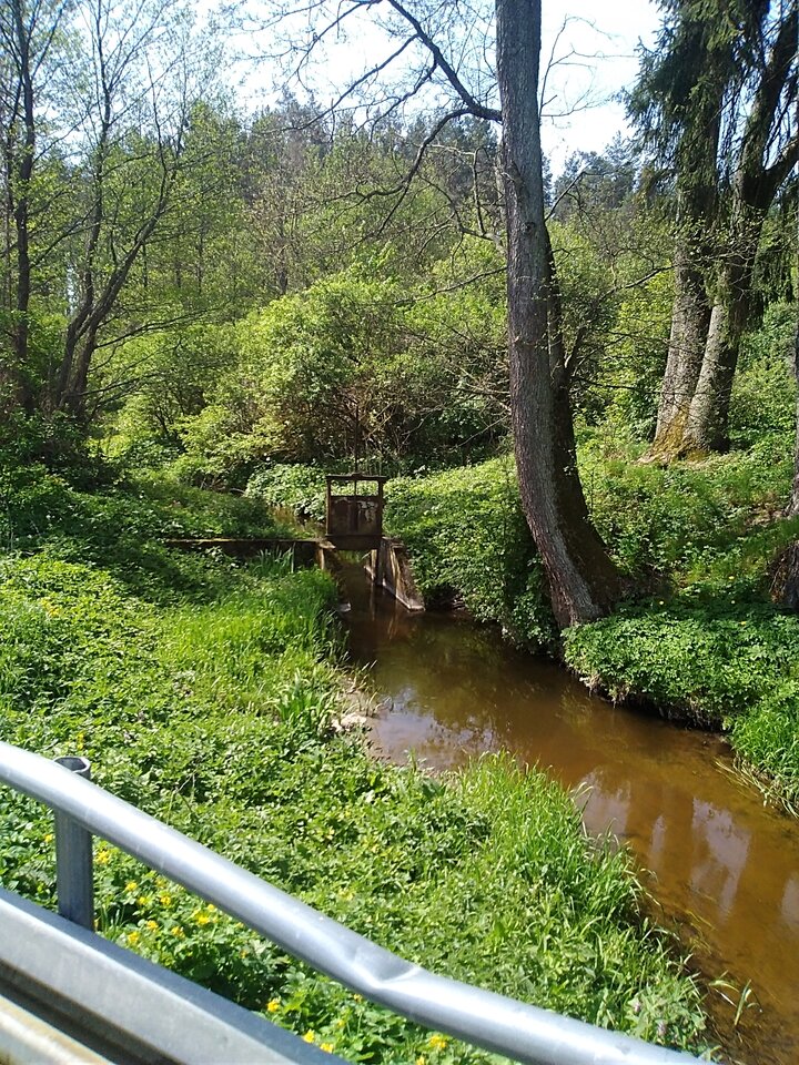 IMG_20240503_105542.jpg - Krzysztof061985