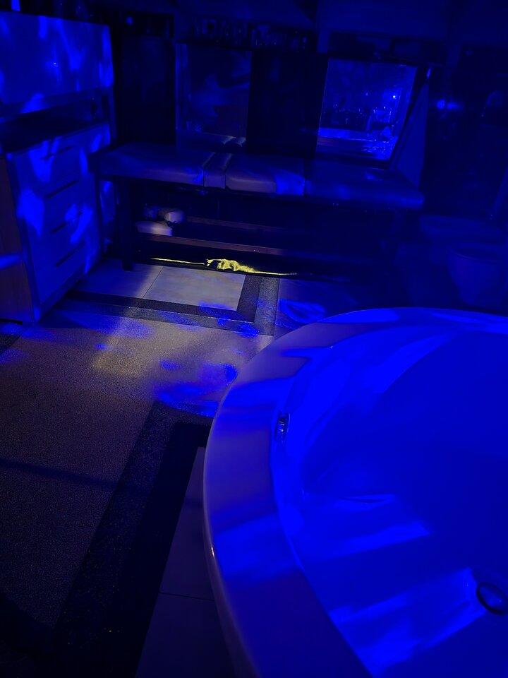 Łazienka nocą - Free_love_2022