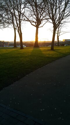 2016-02-15 07.37.38.jpg