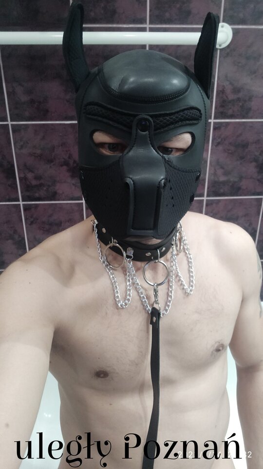 IMG_20230114_233208.jpg - Slavedog80