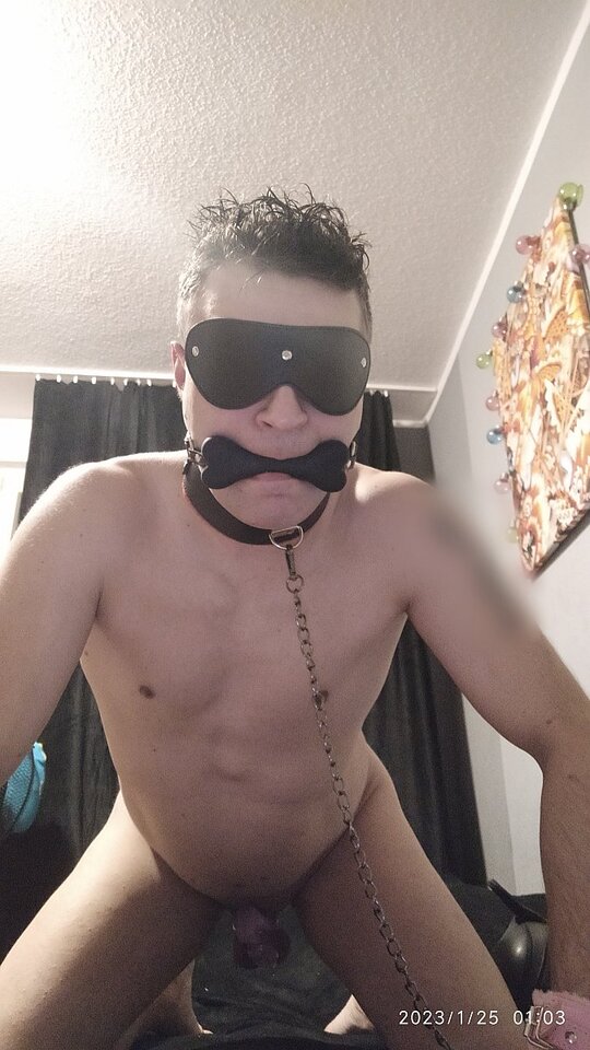 big_9e513d7314dd3318014cae6e0873d276.jpg - Slavedog80