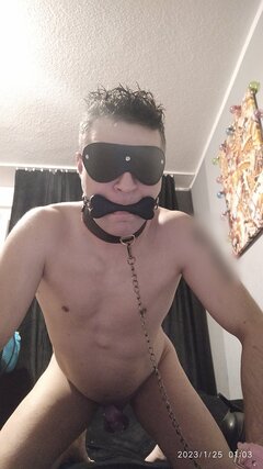 big_9e513d7314dd3318014cae6e0873d276.jpg