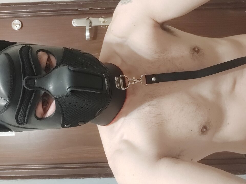 20240320_014605.jpg - Slavedog80