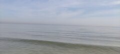IMG_20240504_093309.jpg