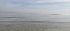 IMG_20240504_093312.jpg