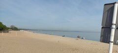 IMG_20240504_093111.jpg