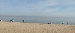 IMG_20240504_093100.jpg
