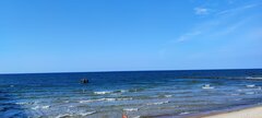 IMG-20240504-WA0001.jpg