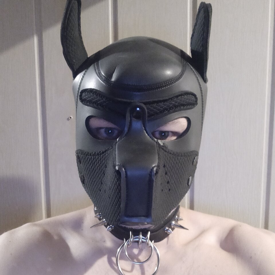9gmcsj.jpg - Slavedog80