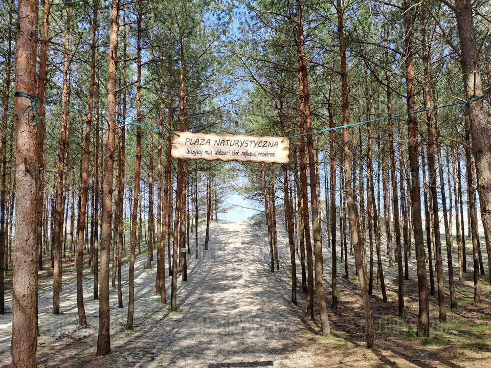 04.05.2024 - Naturysci2022