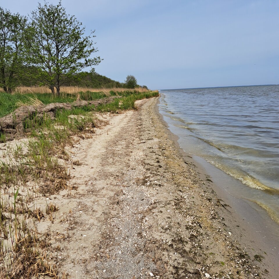 1000002117.jpg - gregor8014