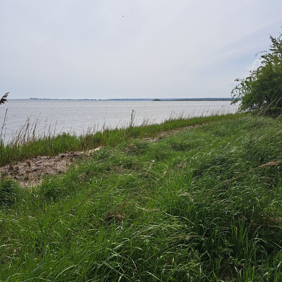 1000002110.jpg - gregor8014