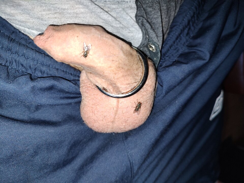 Muchy - Fiutkutaschujjaja