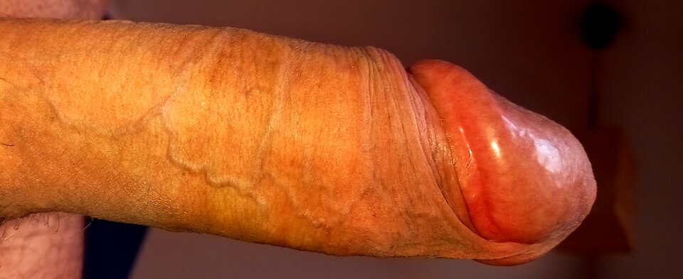 Polish_20240504_172654359.jpg - Andrzejek_72