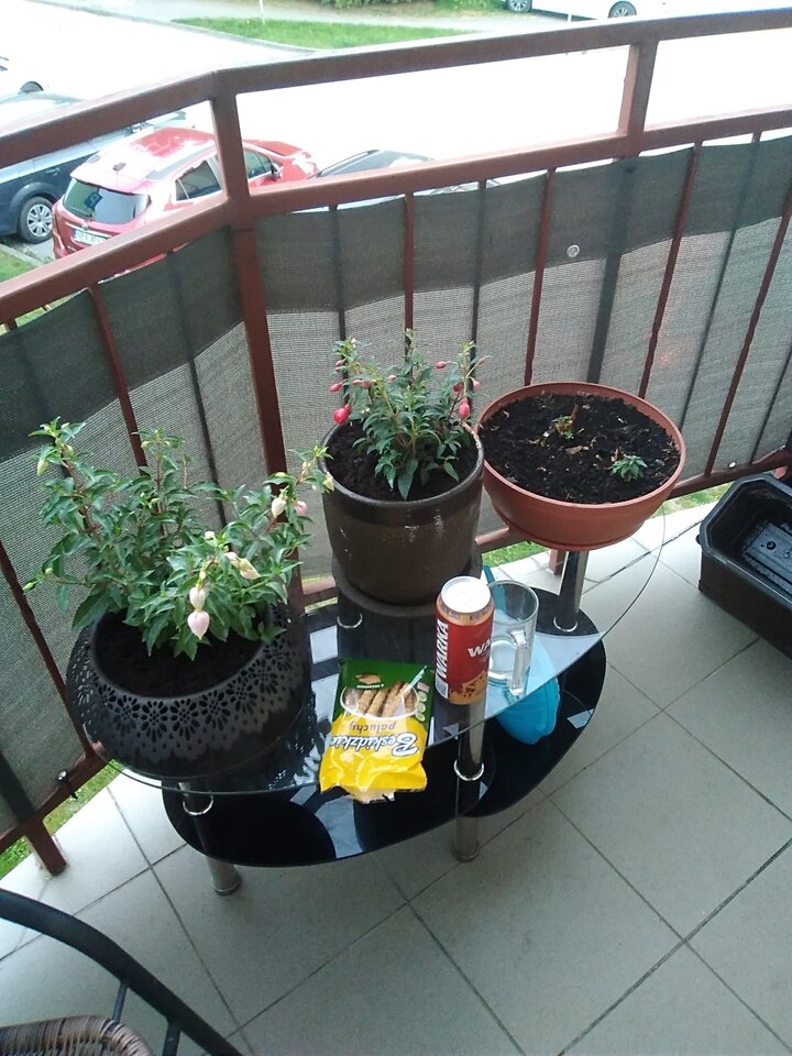 IMG_20240504_192245.jpg - Krzysztof061985