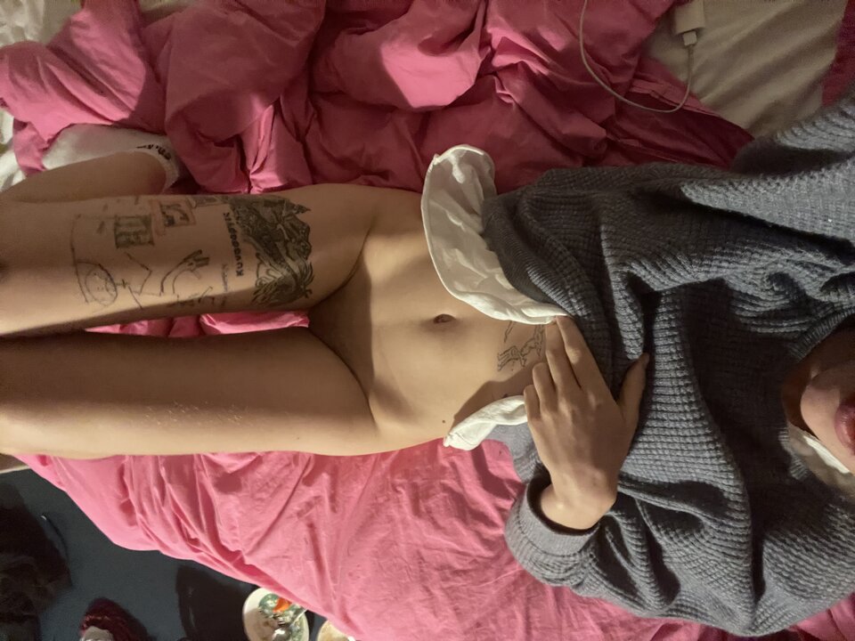 IMG_0971.jpeg - kynosarges