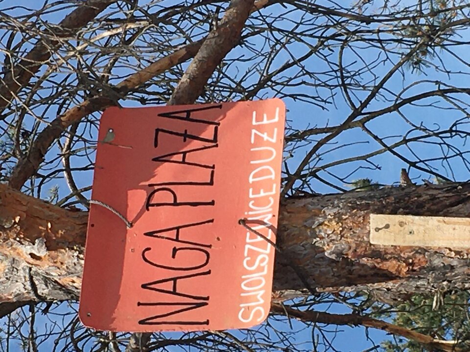 A7FE40CA-0971-424F-9BAC-7A0ADEFFAB80.jpeg - Pankracyxxl