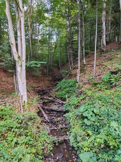 IMG_20230922_160700_Original.jpeg