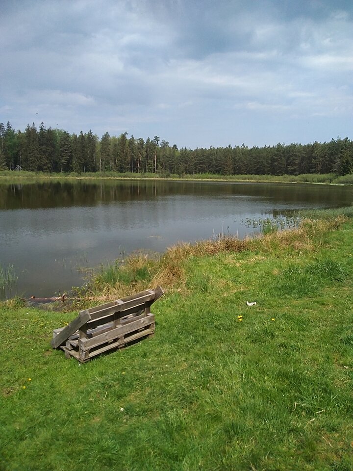 IMG_20240505_111659.jpg - Krzysztof061985